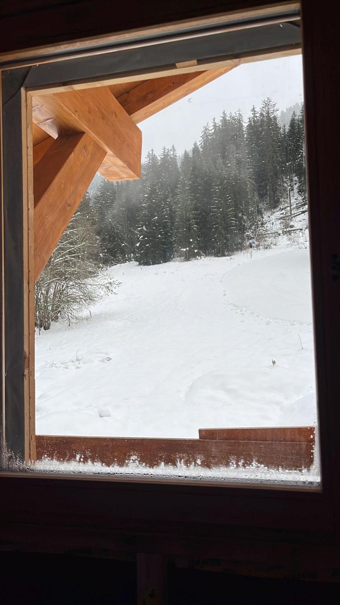 La Rose Des Neiges A Châtel Exterior photo